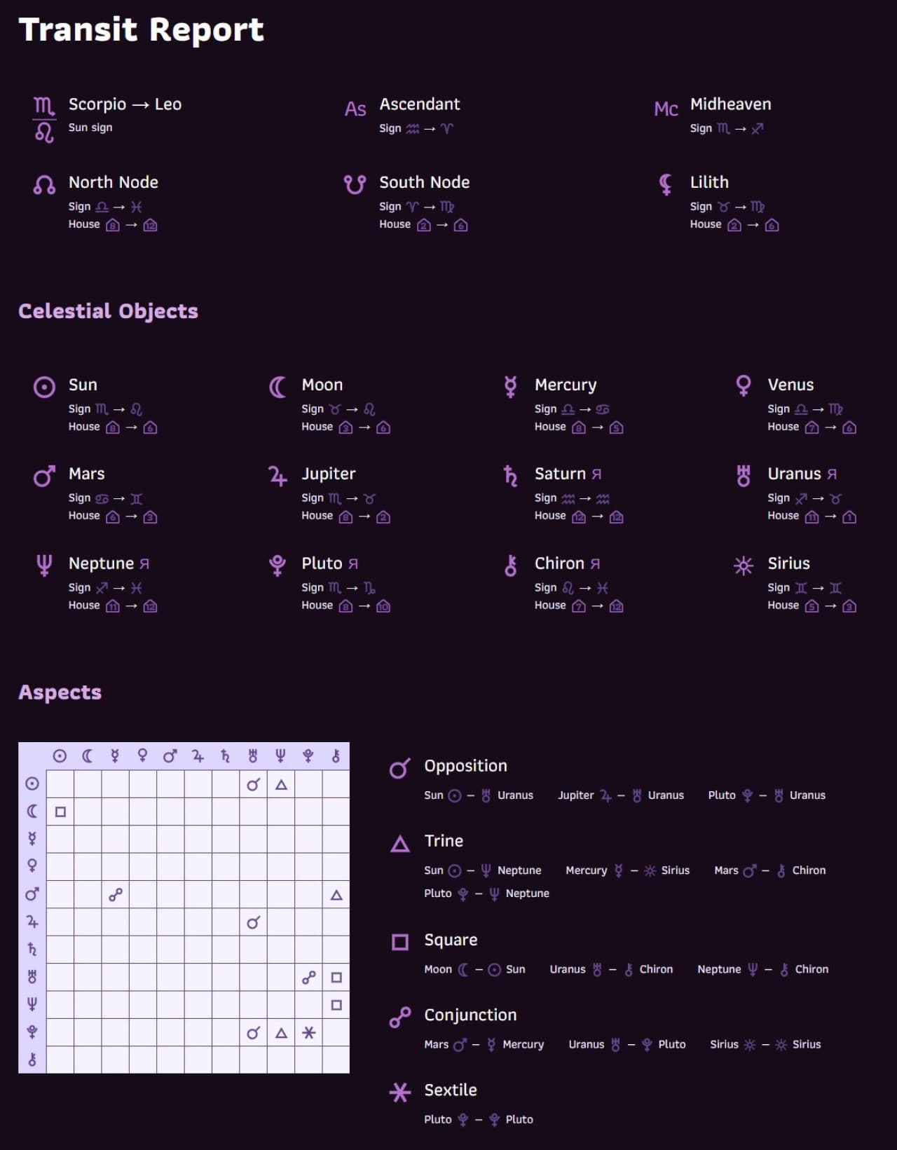 Transit Report Example
